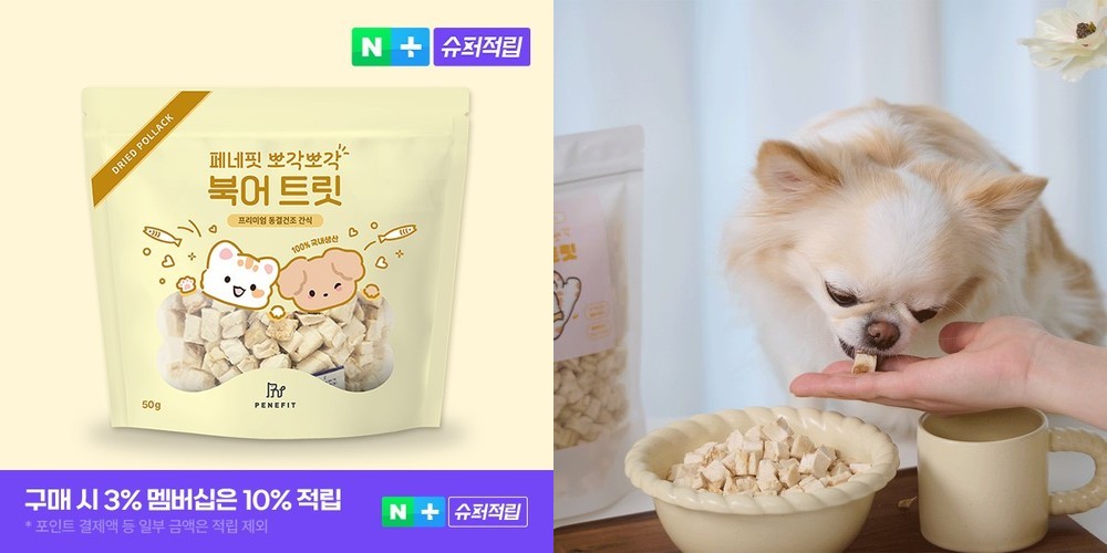 국내산 강아지 동결 건조 간식 한입 트릿 연어, 50g, 1개