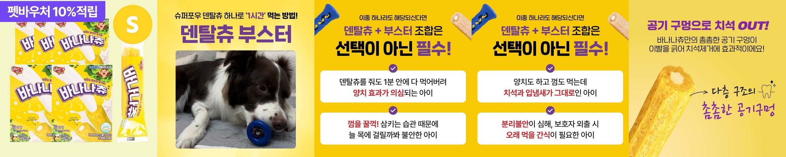 몬스타기어 이오토케어B 음파 전동칫솔 구강세정기 치석제거기 입냄새제거 덴탈케어