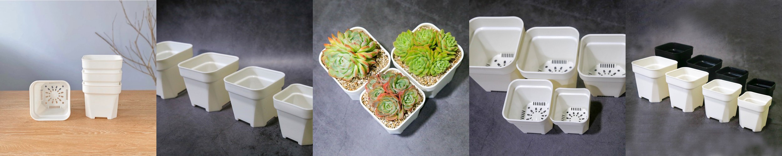 다육이야기 국산 슬릿 플라스틱 플분 화분 사각 블랙 10+1 사각2호, 검정