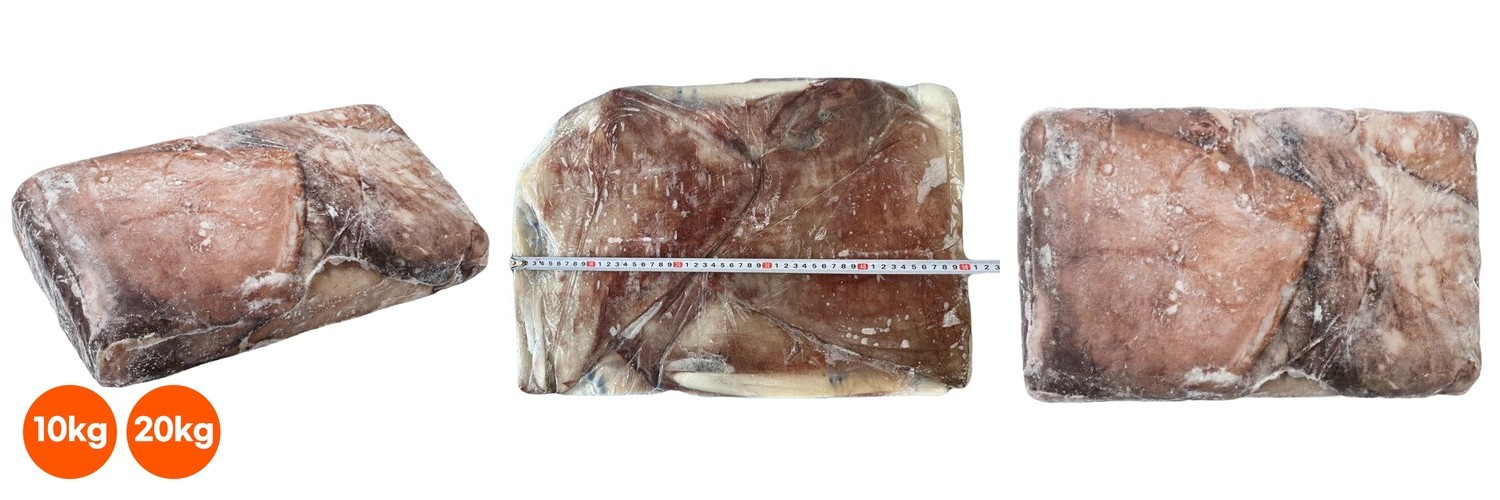 대왕 오징어 귀 날개 지느러미 10kg/20kg 냉동 무라사키 칠레 페루 도매 업소용 벌크