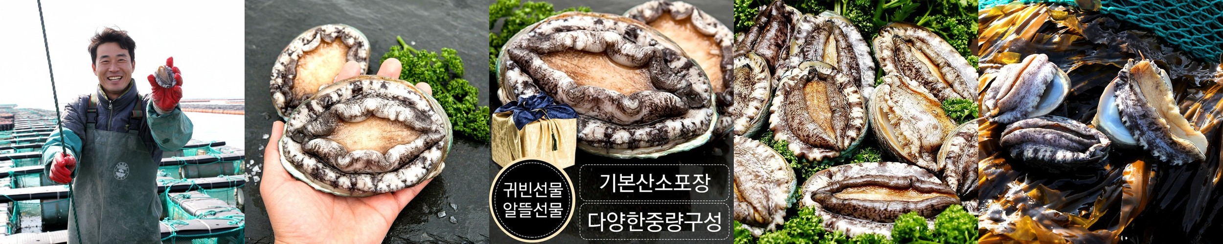 국내산 완도 활전복 1kg
