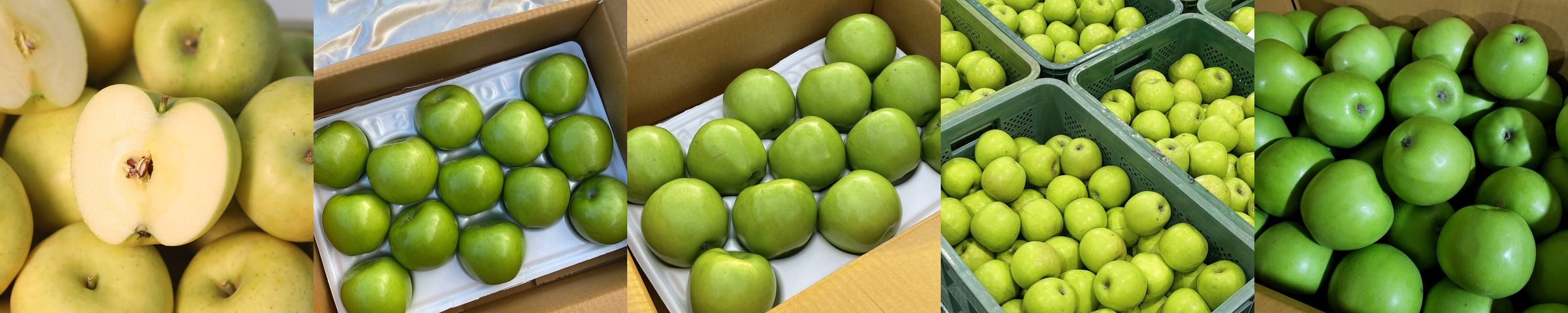신선마켓 가정용 맛있는 아오리사과 소과, 2kg, 1개