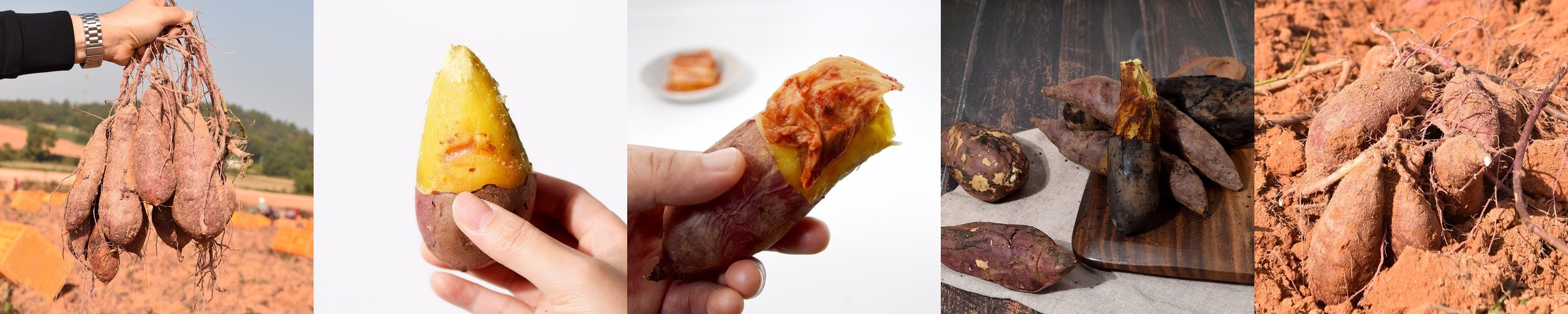 [1포당 2kcal] 데이앤 곤약젤리 복숭아맛 복숭아, 150g, 30개