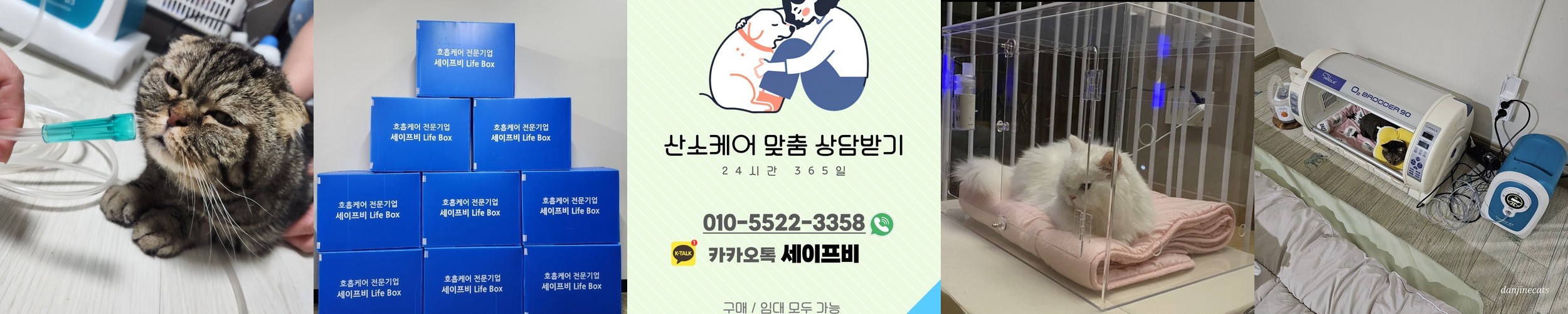[오늘출발] 든든큐브 동결건조 대용량 고양이 트릿 간식 바삭한 북어, 150g, 1개