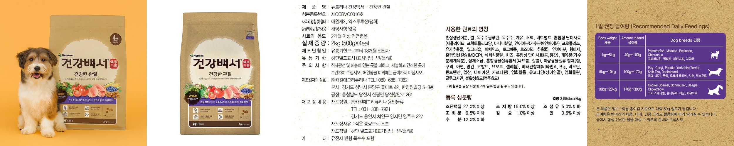 프로베스트 독 루키 강아지 5kg