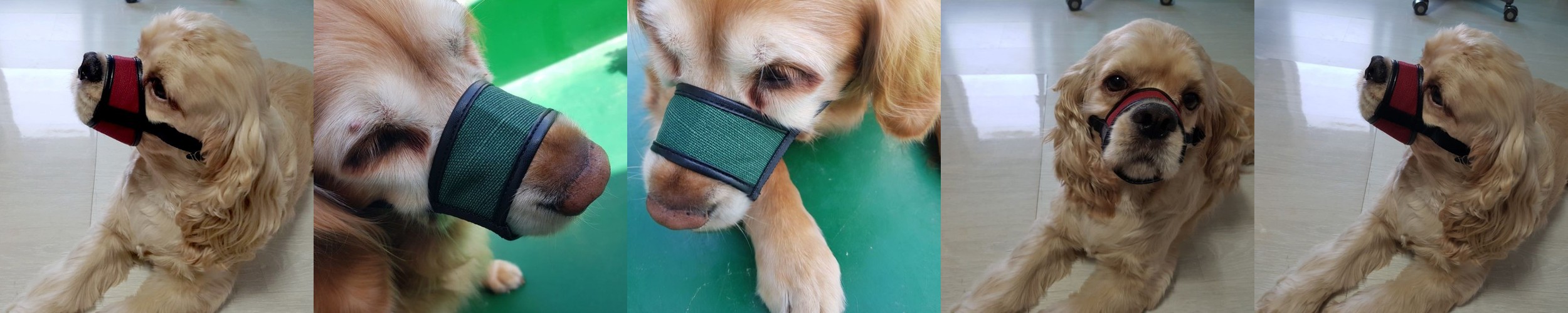 애견 입마개 소형 중형 대형견 강아지 훈련용품 BB-1 빨강 1호(입둘레8cm)