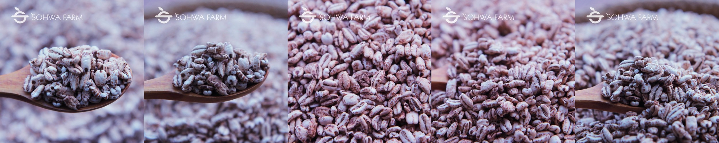 2025년 국산 청태콩 뻥튀기 300g 볶은콩