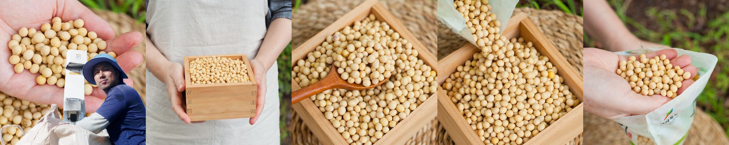 2025년 국산 청태콩 뻥튀기 300g 볶은콩