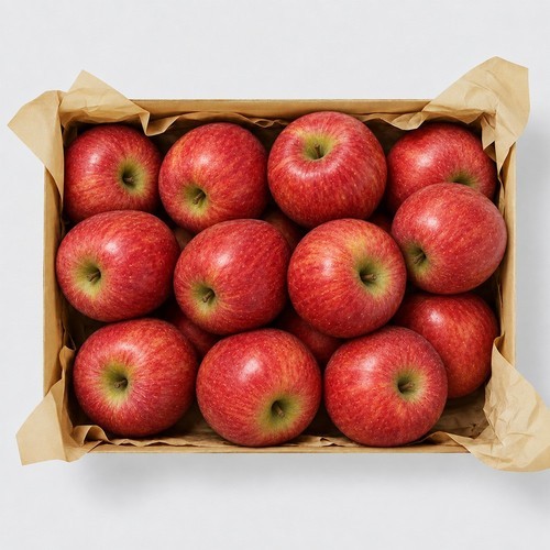 신선마켓 가정용 맛있는 아오리사과 소과, 2kg, 1개