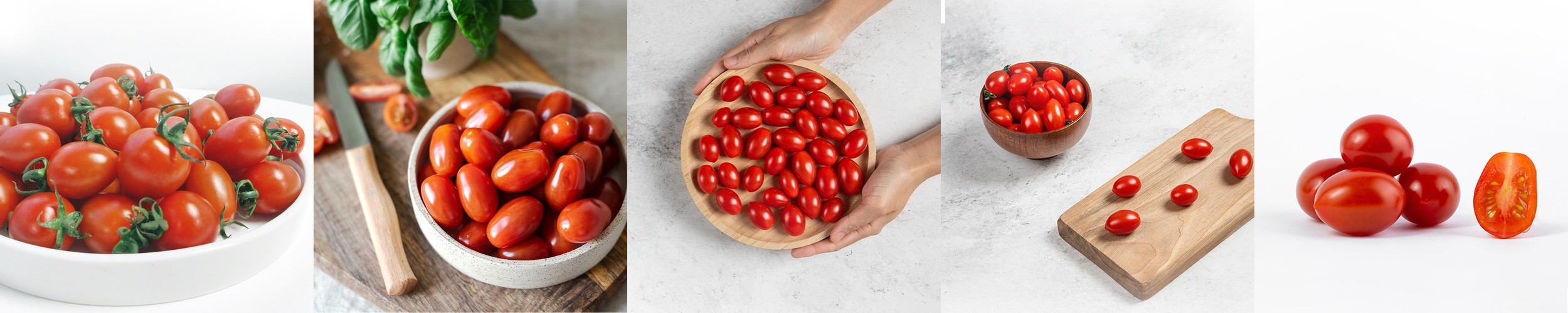 강아지 저알러지 간식 저칼로리 비건 애견 간식 병아리콩 베지칩 칙피칩스 고구마 야채 다이어트 간식