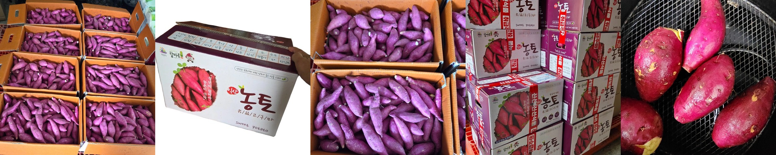 아이스 냉동 고구마 군고구마 밤고구마 꿀고구마 간식 껍질없는아스트로파머 1.2kg, 10개