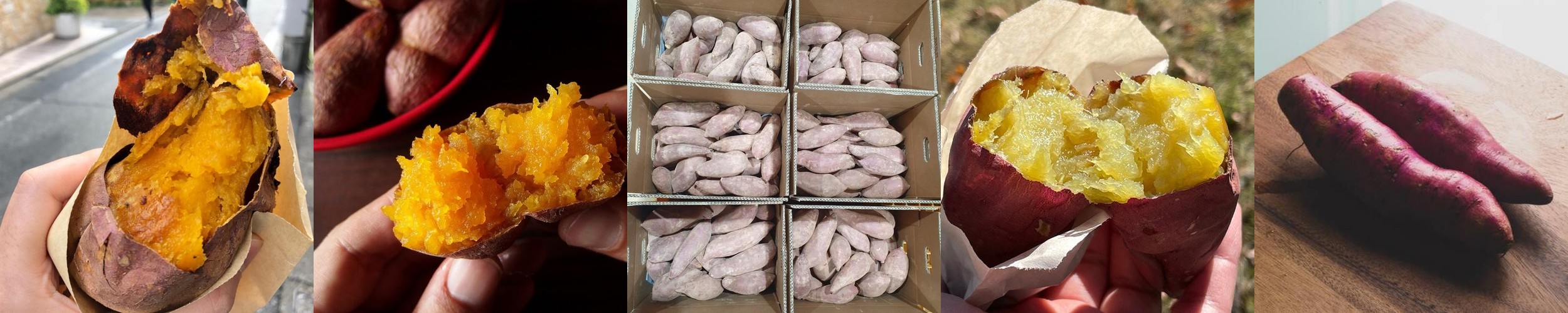 하루까고구마 베로니카 햇꿀고구마 한박스 호박밤 베니하루카 해남햇 중, 10kg, 1개