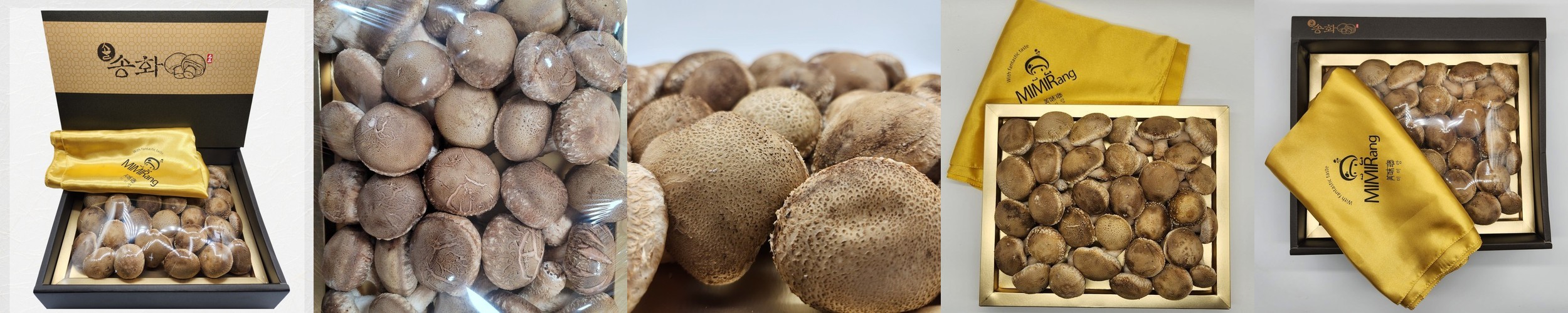 오늘신선 산지직송 무농약 참송이버섯 가정용/정품(500g,700g,1kg) 선물세트