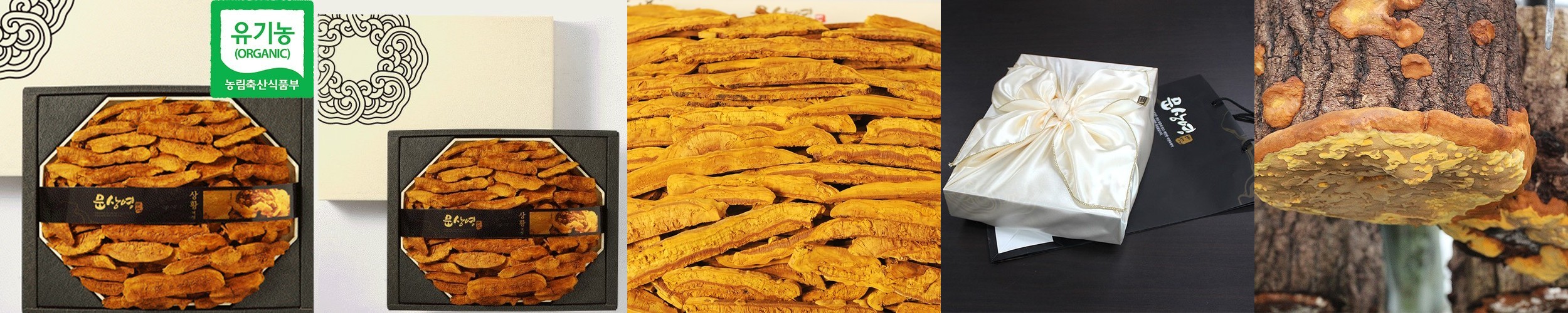 오늘신선 산지직송 무농약 참송이버섯 가정용/정품(500g,700g,1kg) 선물세트