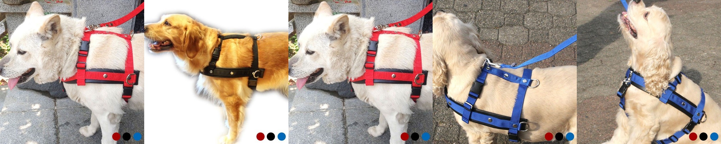 강아지 거북이 하네스 가방 산책 백팩 소형견 중형견 대형견