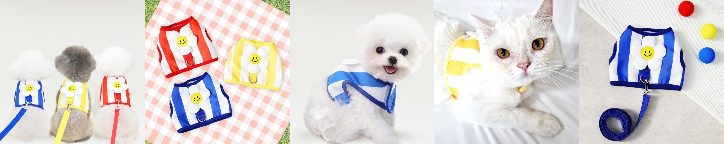 강아지 거북이 하네스 가방 산책 백팩 소형견 중형견 대형견