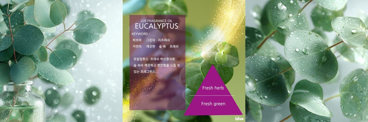 엘모트 로터스 올인원 캡슐세제 30개입
