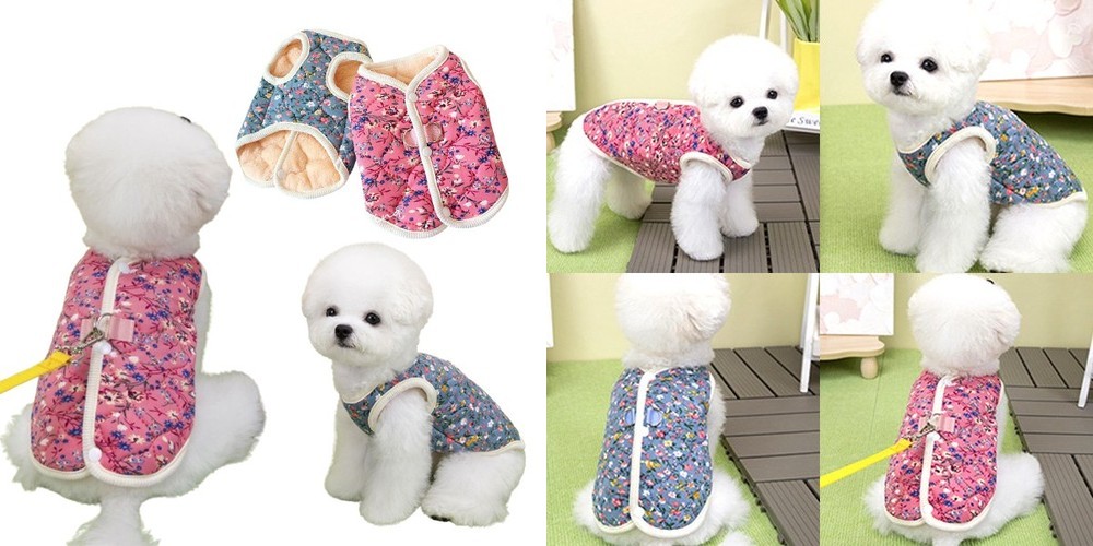 덴티멀 강아지 고양이 구강관리 치석제거 더블액션 치약 무향, 60g