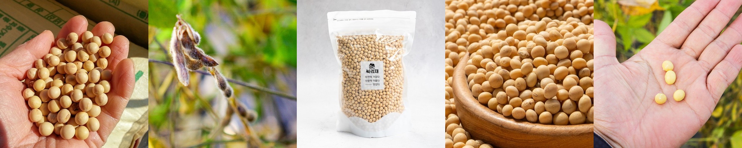 싸리재 국산콩 [ 흰콩(백태) 1kg ] 두유 대두 콩국수용 노란콩