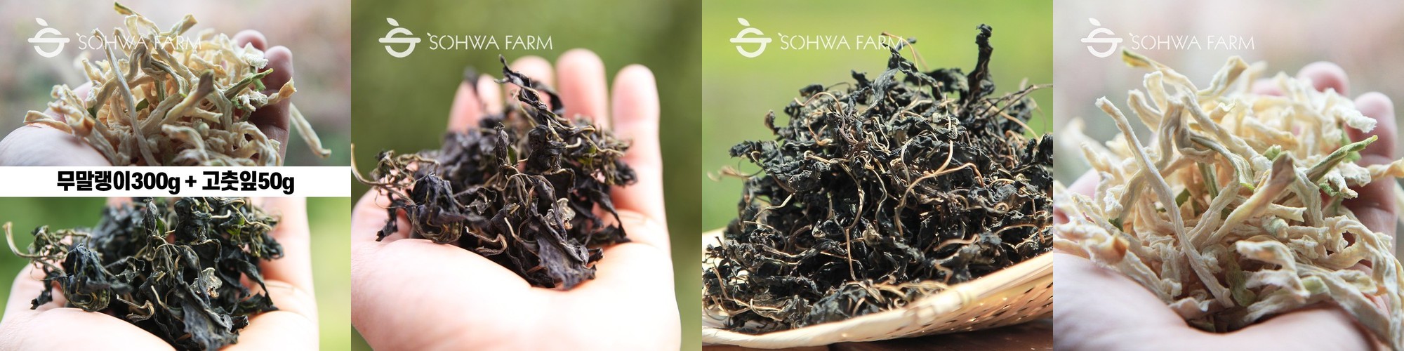 친환경 무말랭이차 300g 무차 부여