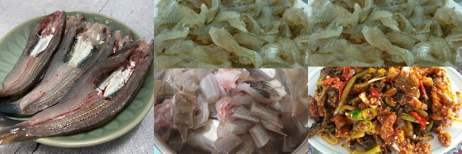 자연한끼 삼천포 반건조 꽃돔