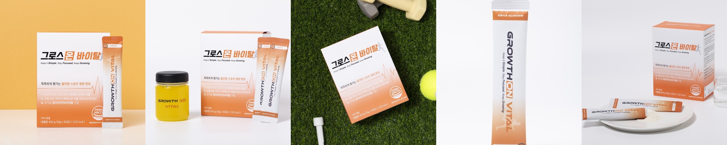 웨이테크 WP웨이 헬스 단백질보충제 웨이 게이너 매스