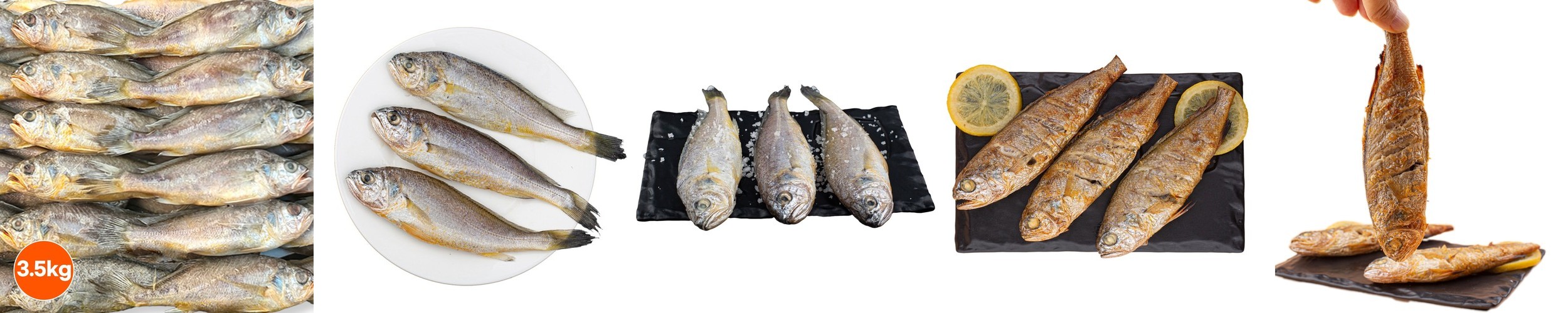 조기 참조기 조기구이 조림 매운탕 3.5kg, 52개