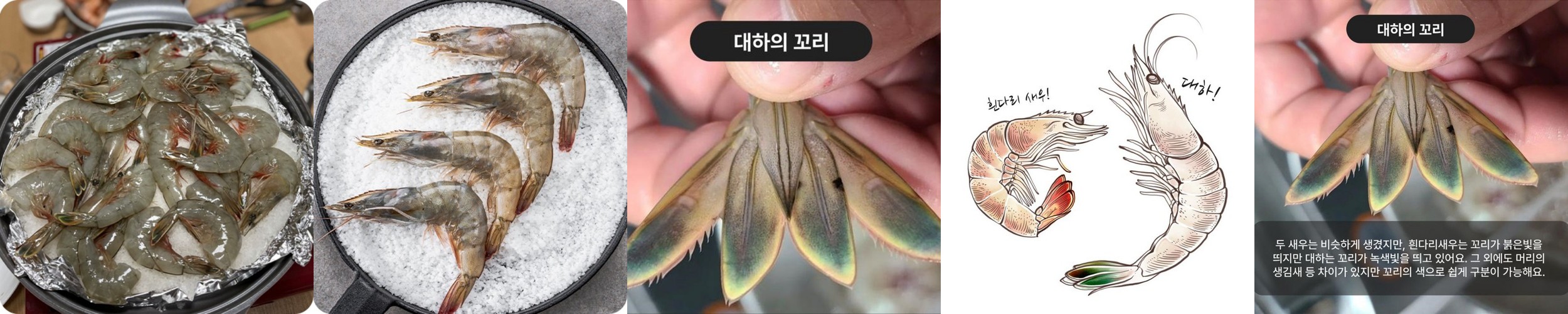 프리미엄 홈마카세 세트 새우 우니 성게알 감태