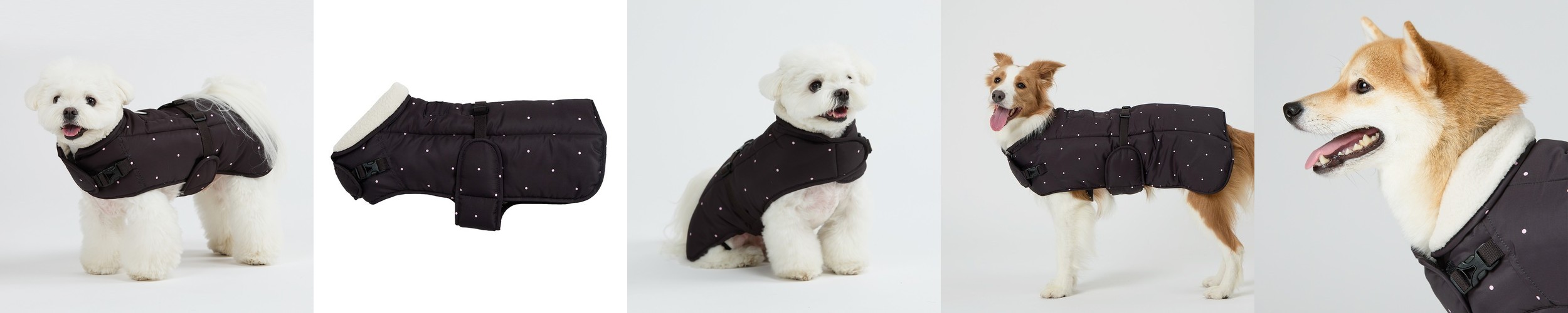 강아지 배변패드 대형 소형 애견 고래패드 1초 흡수 라이트 표준형 200매