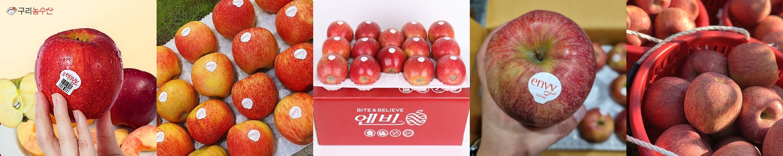 사과 청송 부사 예산 엔비 엔부 시나노골드 세척 못난이 5kg