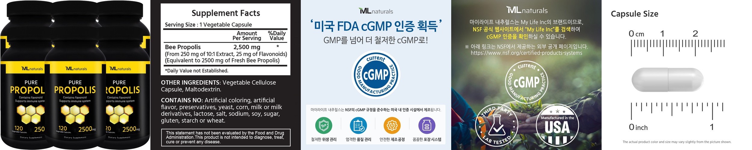 마이라이프내추럴스 퓨어 프로폴리스 2500mg 알약 120캡슐, 6개