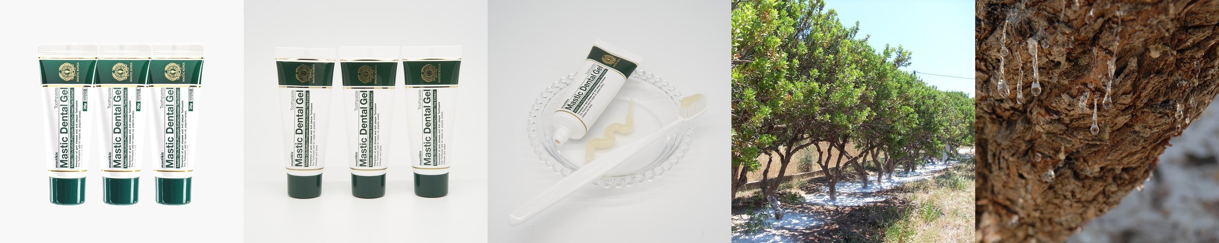 매스틱덴탈젤 잇몸염증 치주염 치은염 빠른효과 발명특허 효도치약 35g, 3개