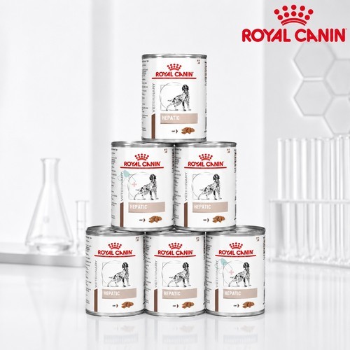 로얄캐닌 캣 레날 피쉬 파우치 고양이 반려묘 습식 처방 사료 신장질환관리, 85g, 12개