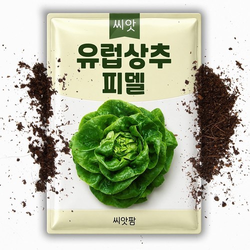 버터헤드 상추씨앗 2000립 유럽상추 보스턴 후레쉬볼 쌈채소 로메인 채소 종자