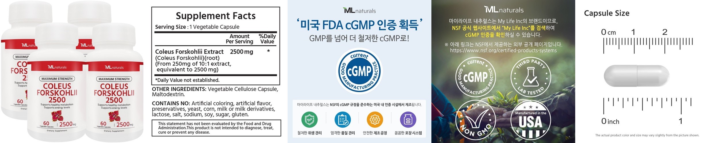 팁스헬시 리턴24 흰강낭콩 차가버섯 라이코펜 14개입, 6개