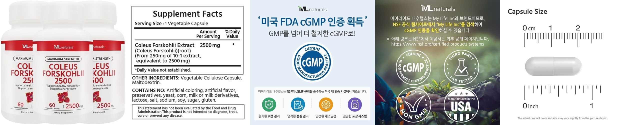 팁스헬시 리턴24 흰강낭콩 차가버섯 라이코펜 14개입, 6개