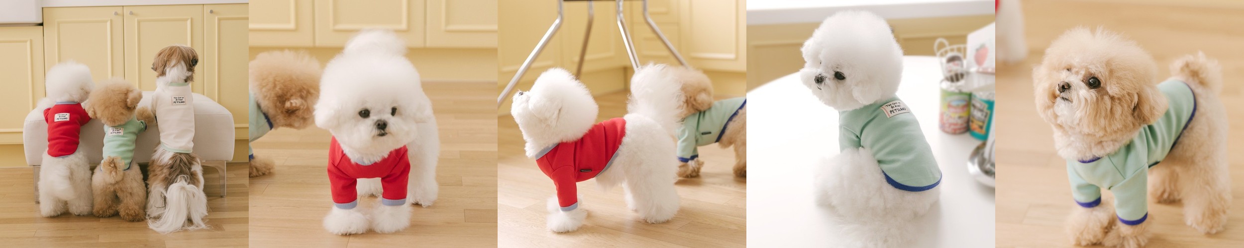 강아지 실내복 사계절 강아지옷 소형견 티셔츠 큐티라벨