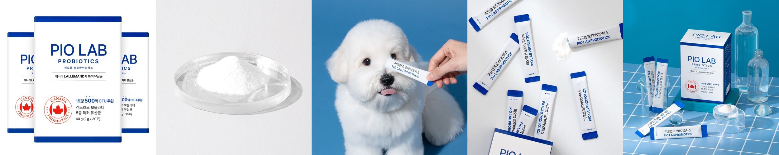 피오랩 프로바이오틱스 강아지 고양이 유산균 면역 변비 설사 영양제 30포, 3개