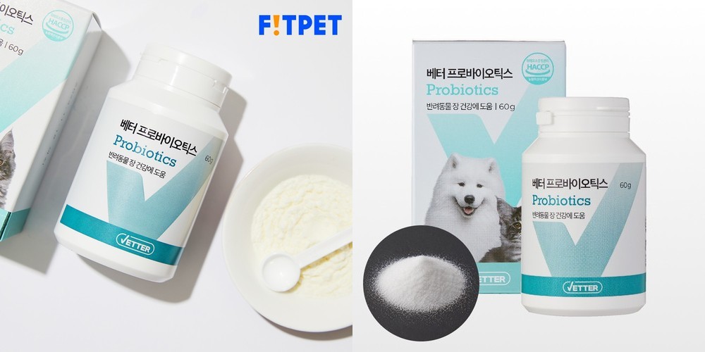 모비타 100억 CFU 키즈톡톡 유산균 어린이 맞춤 프리미엄 유산균 30포, 1개