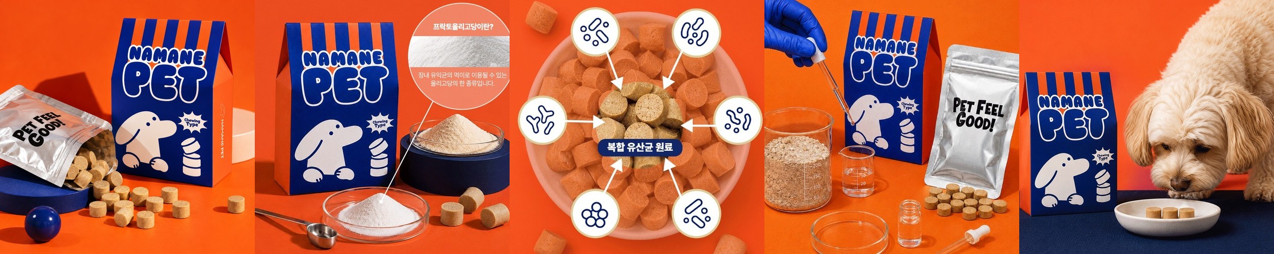 칼마디 치아 구강건강 프리미엄칼슘영양제 무기질 뼈에좋은