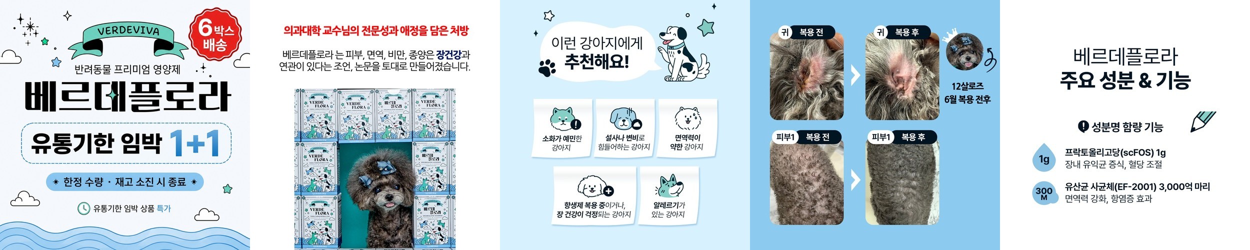 보령 댕댕포스 프리미엄 강아지 영양제 복합 기능성 관절+연골, 90g, 1개
