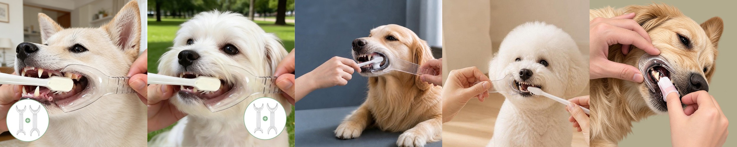 아이시아 먀우먀우 쥬시 파우치 고양이 습식 도미, 60g, 1개