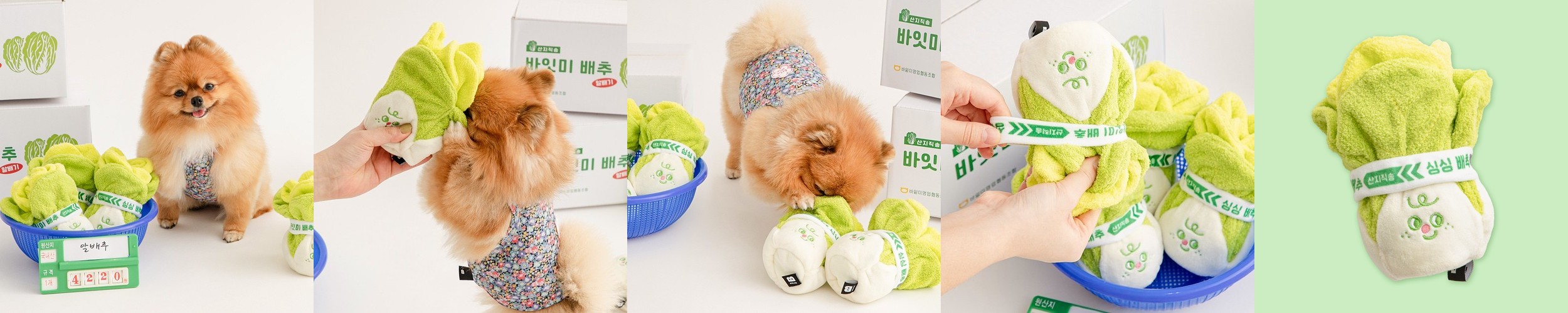 구루구루 위고백 벤티 풀패키지 이동가방+추가 판넬2개+이너패드2종 강아지 고양이 백팩 대형