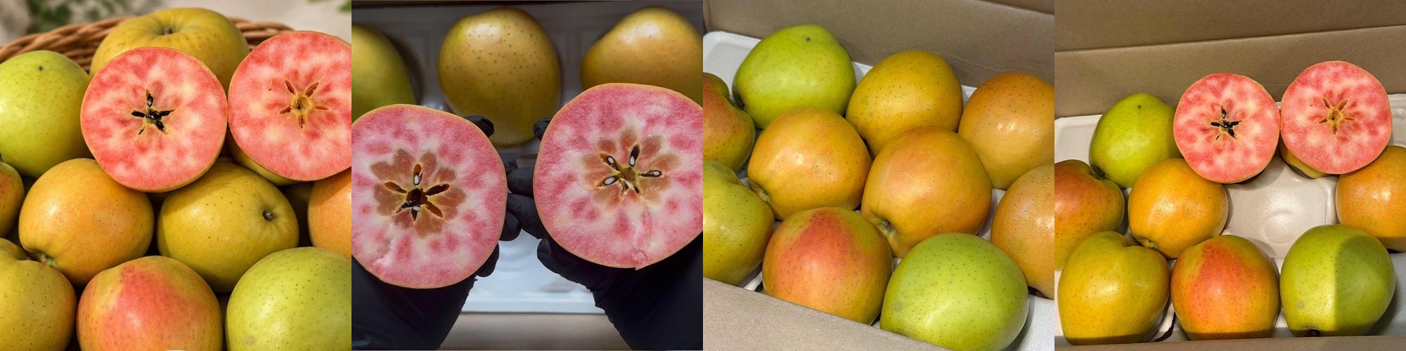 제철 사과 2kg 홍로 부사 아오리 꿀사과 선물세트