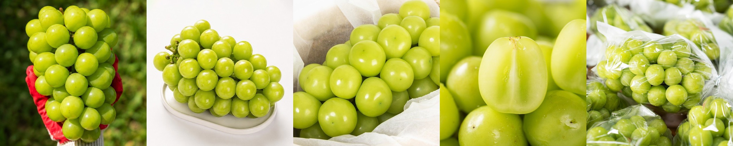 송희자한과 프리미엄 유기농 쌀조청 국산 전통식품 명절선물 답례품 300g, 1개