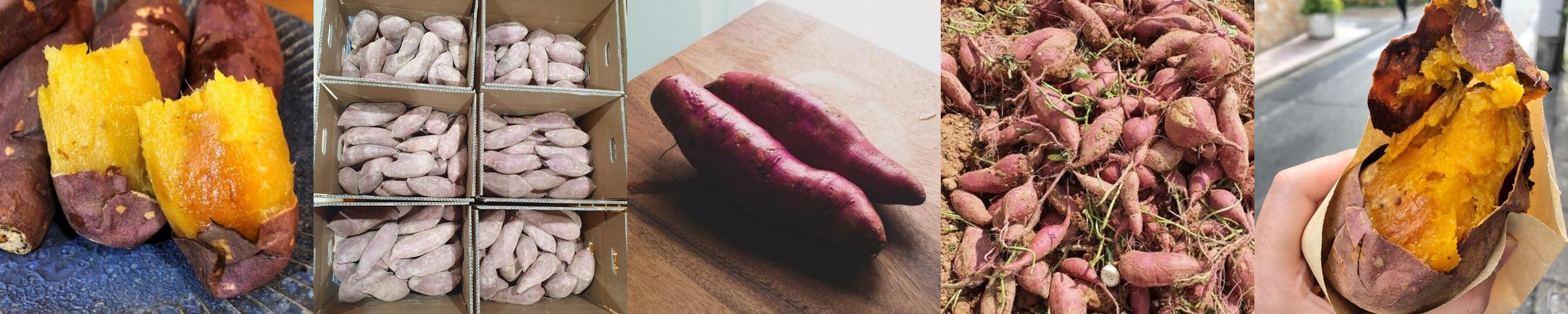 손질 갈치 900g 순살 뼈없는갈치 구이 조림