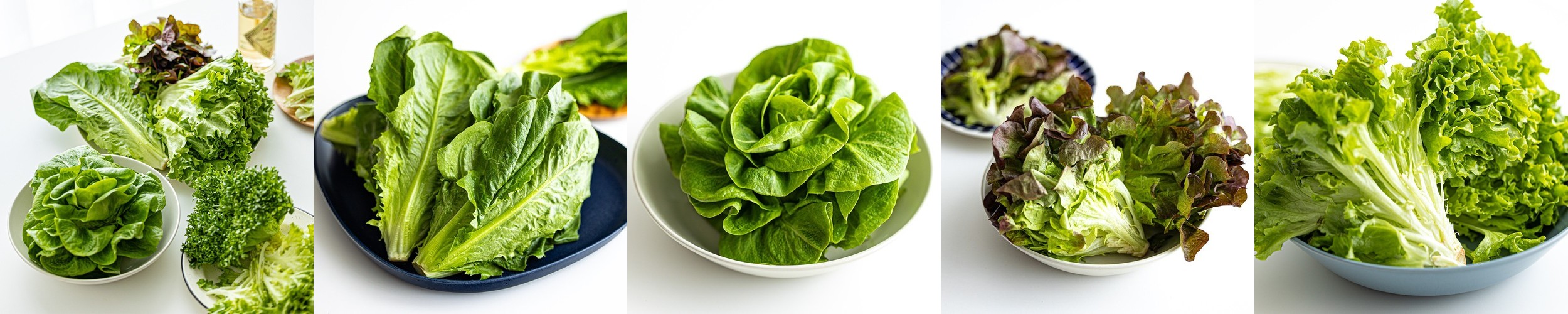 당일수확 쌈채소 모듬 쌈야채 1kg