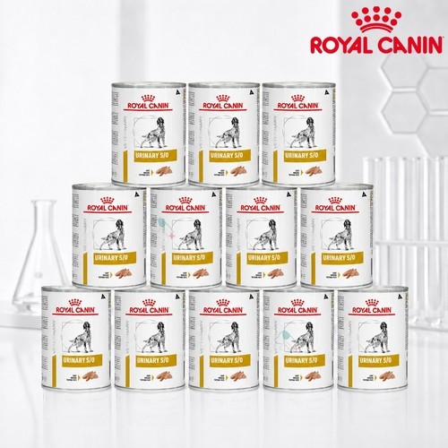 힐스 강아지사료 어덜트 퍼펙트 다이제스천 연어 1.6kg X 2개