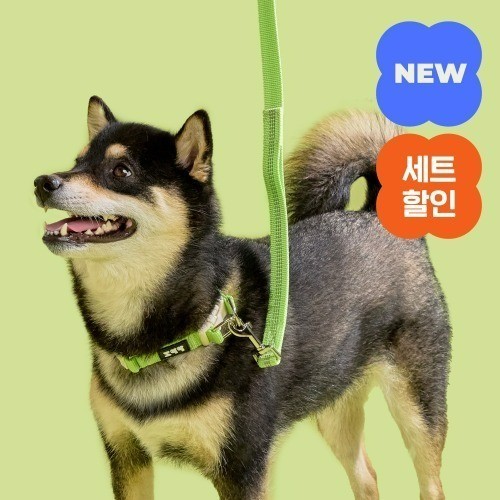 리또리 강아지목줄 대형견 초대형견 5cm 골드버클 블랙