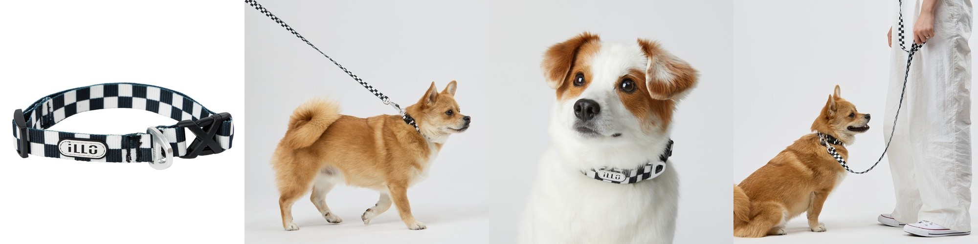 리또리 강아지목줄 대형견 초대형견 5cm 골드버클 블랙